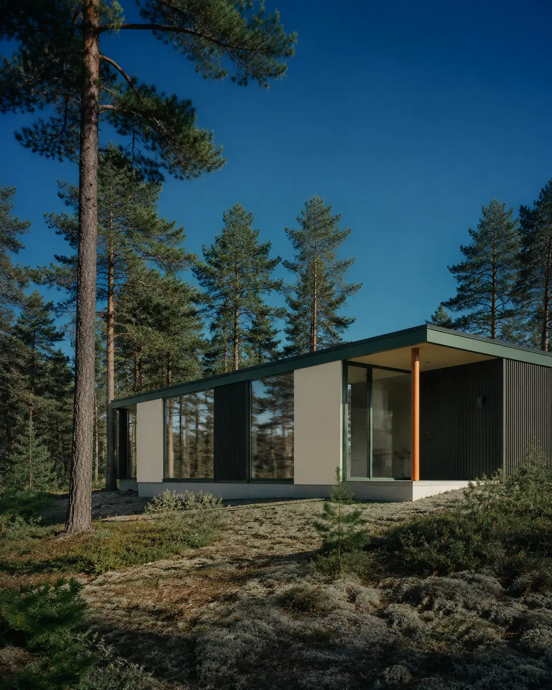 Contemporary NOMA modular home among Scandinavian pines beneath a cobalt sky
