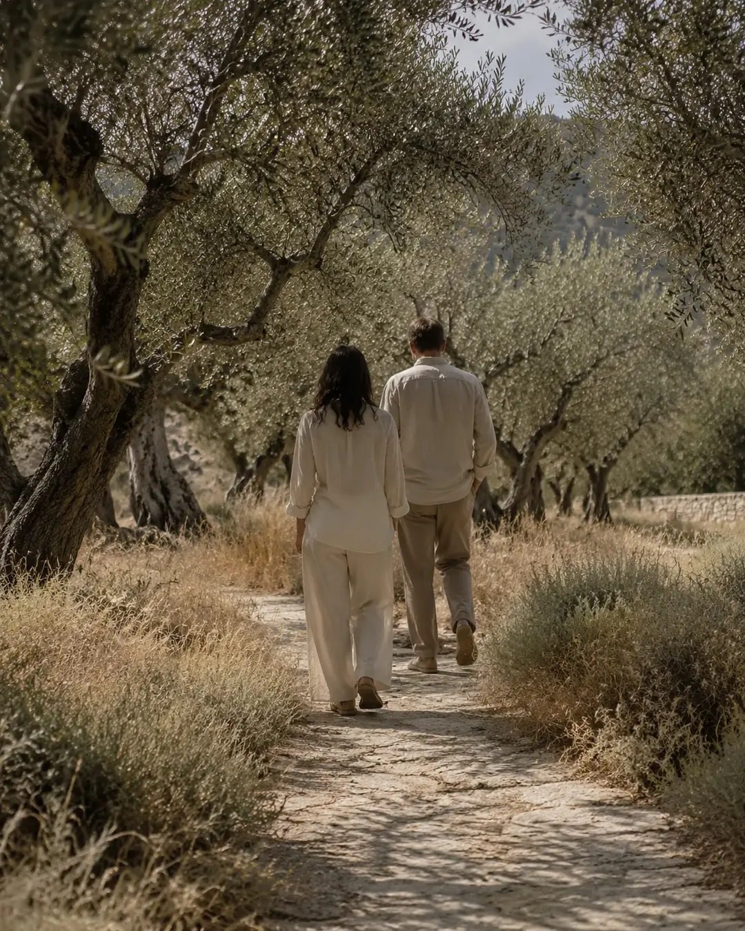 Two guests walking slowly between mature olive trees