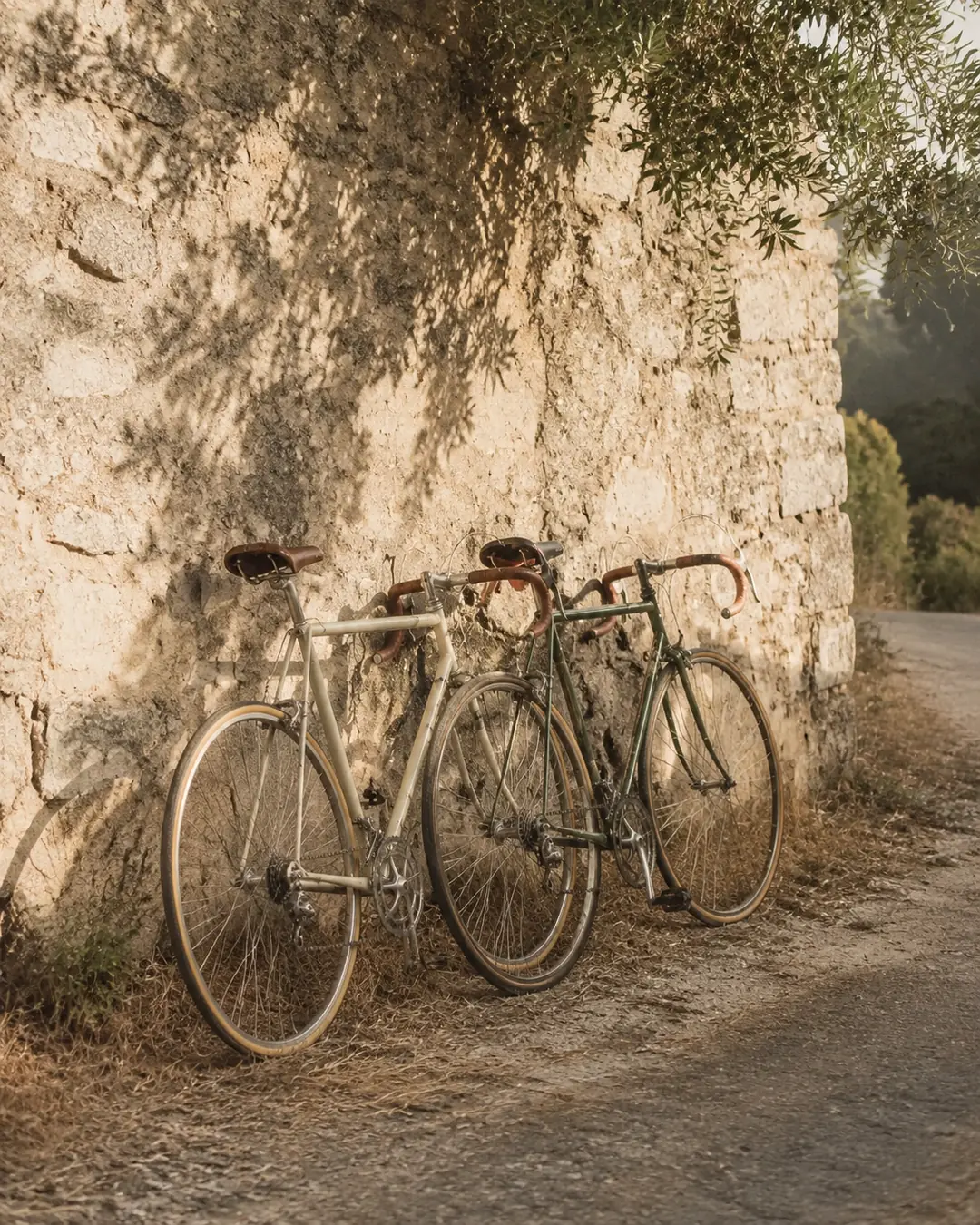 Touring bicycles resting against a stone wall beside a country road