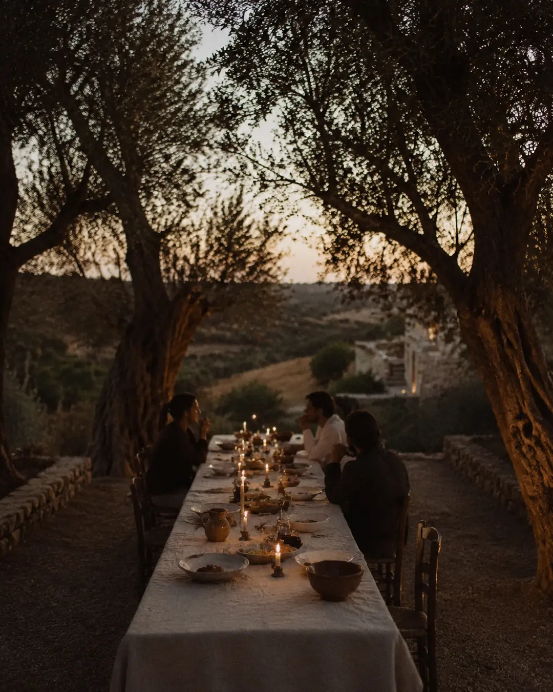 An intimate outdoor dinner beneath the olive trees at dusk
