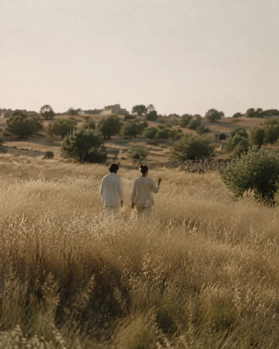 Two guests walking through tall sunlit grass near Aster House